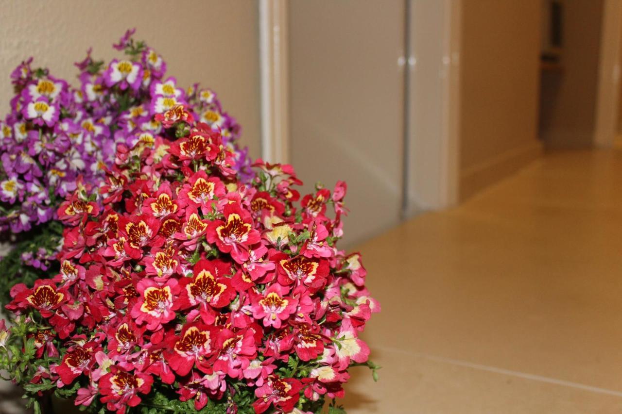 Harmony Rooms คาตาเนีย ภายนอก รูปภาพ